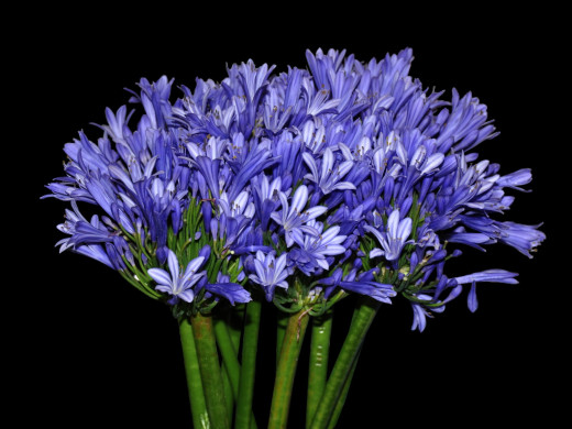 429950 (a): :1600x1200